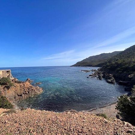 Casa Depau Villa แตร์เตนิอา ภายนอก รูปภาพ